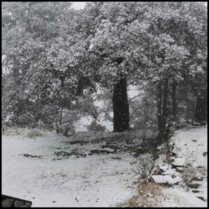 Mussoorie Nainital Snowfall 1